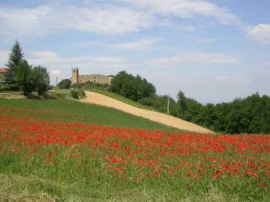 Carpaneto (Pc) - Castello di Magnano